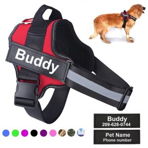Personalized Dog Harness Reflective Breathable Pet Harness 1