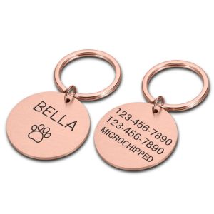 Personalized Dog Tag Pet ID Tag Name Tags Free Customized Cat Puppy Tags Stainless Steel Collar Pet Accessories Dropshipping 1