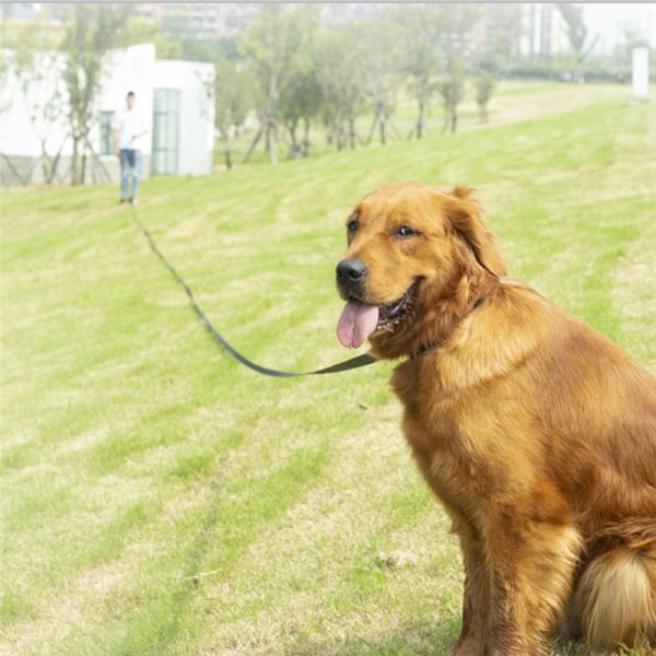 Long Dog Leash Rope 6