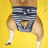 Shorts fraldas para cães fêmeas laváveis calcinhas menstruais para animais de estimação PAD 6