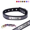 Collar de perro personalizado, Collar de gato reflectante de cuero, etiqueta de identificación grabada personalizada para cachorros, perros grandes, accesorios para mascotas 1